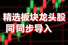 精选板块龙头股实时导入同步
