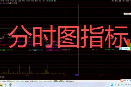 分时做T分时图指标(通达信)