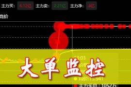 超值上头的大红球大单资金监控插件